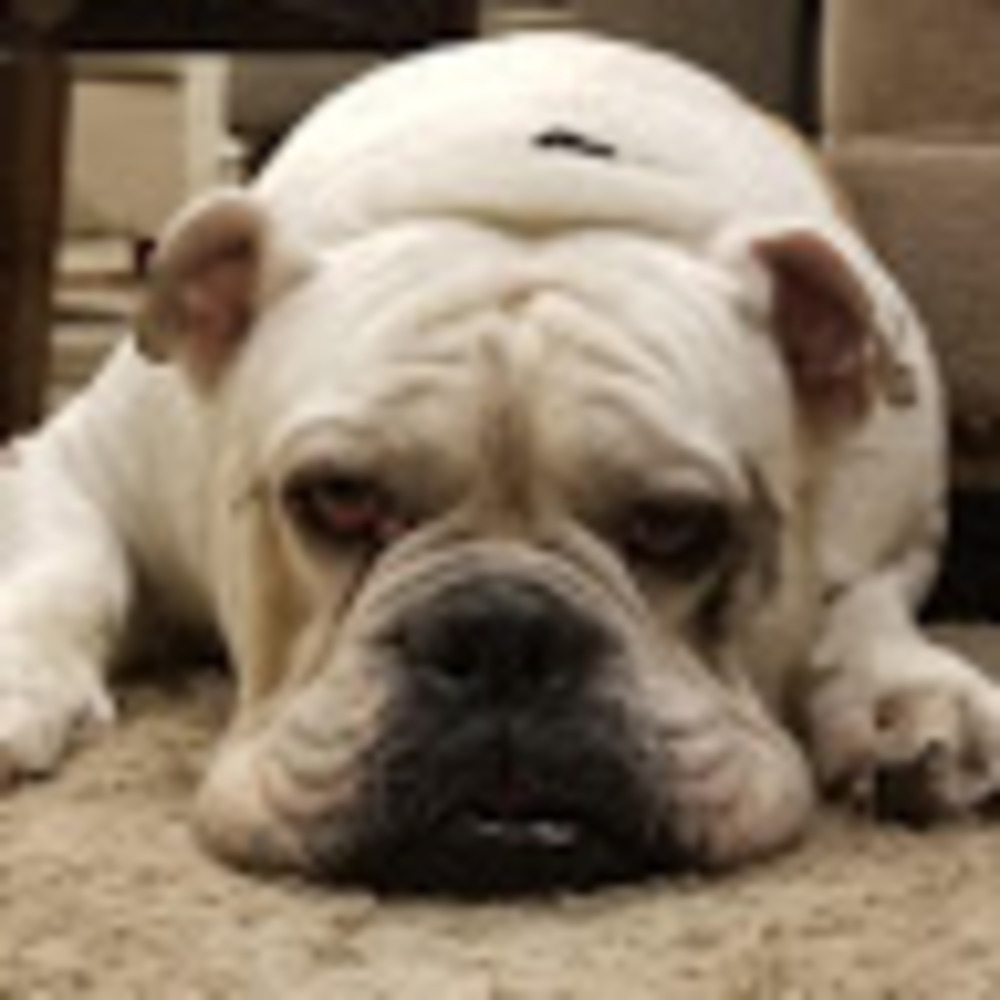 Meet your Posher, Bianca